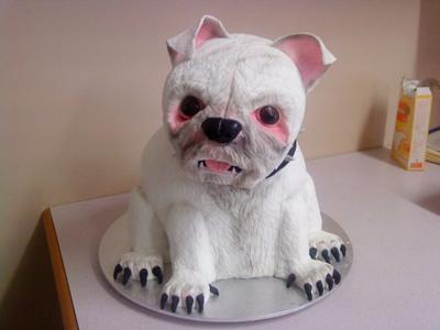 Birthday Cake Vodka on 3d Dog Cake