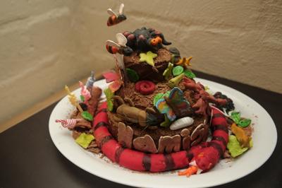 Bugs, Spiders and Snake Garden Cake