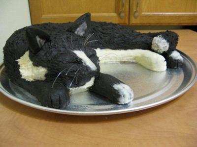  Birthday Cake on Cat Cake