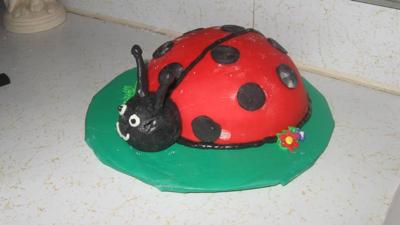 Ladybug Birthday Cakes on Ladybug Cake For First Birthday