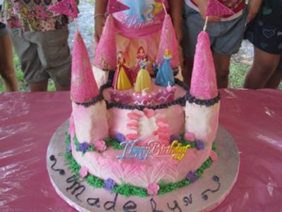 Princess Birthday Cakes on Princess Castle Birthday Cake