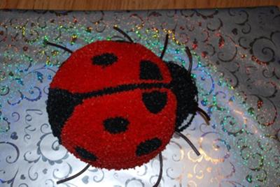 Ladybug Birthday Cake on Round Lady Bug Cake