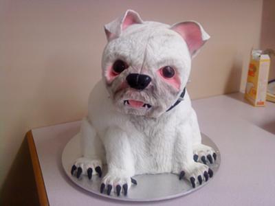 Doggie Birthday Cake on White Dog Cake