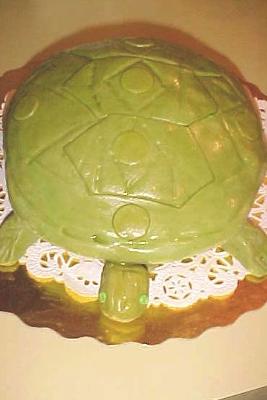 Desert Turtle Cake