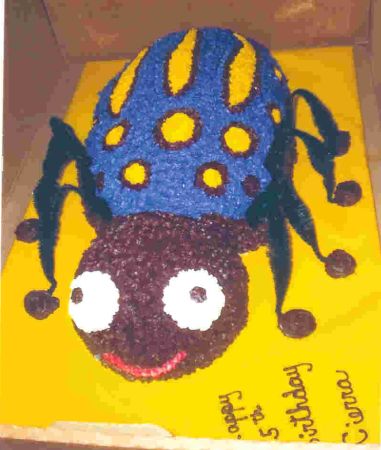 Spider Bug Childrens Cakes