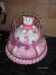 Hello Kitty 5th Birthday Cake