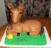 Horse Birthday Cake