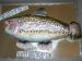 Rainbow Trout Cake