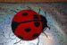 Round Ladybug Cake