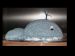 Jonah's Whale Cake