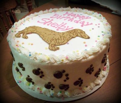 Dachshund Birthday Cake