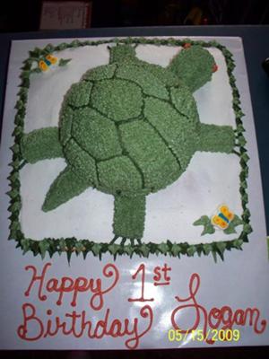 Turtle Cake