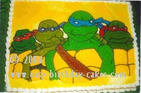 Ninja Turtle Cake