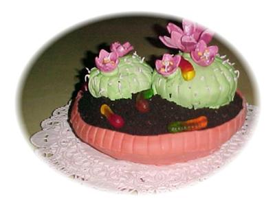  Potted Cactus Flower Cake