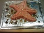 Star Fish Cake