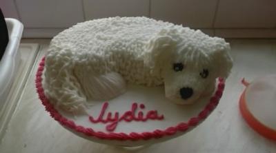 Bichon Frise Cake