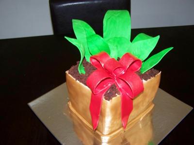 Flower Pot Cake