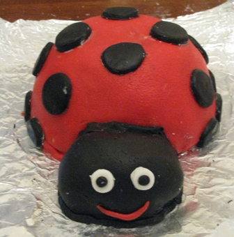 Lady Bug Birhtday Cake